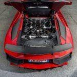 lambo_08.jpg