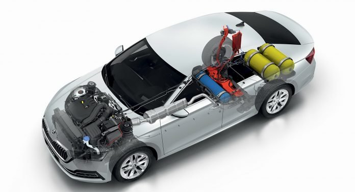 Metano Auto, in Italia il 19% è Biologico