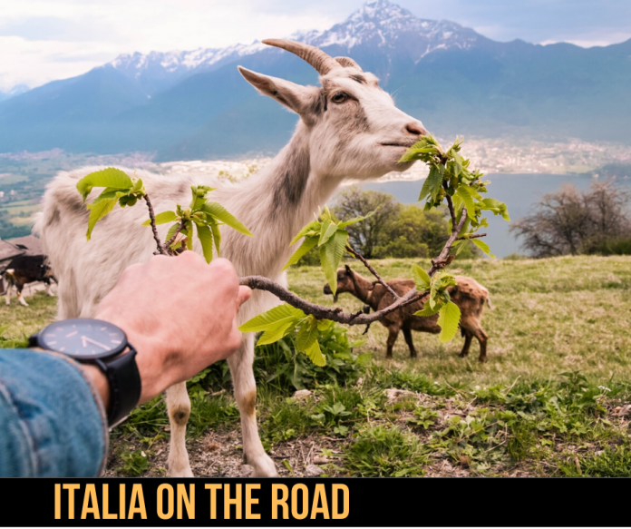 I 6 itinerari per le Vacanze On the Road in Italia I 6 itinerari per le Vacanze On the Road in Italia