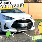 20230202_013434_0000