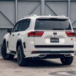 lb_870_05650214198409623279