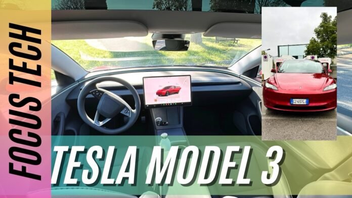 copia di copia di yellow bold photo nature youtube thumbnail